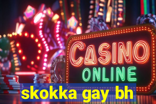 skokka gay bh