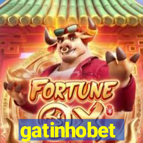 gatinhobet