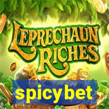 spicybet-5.com