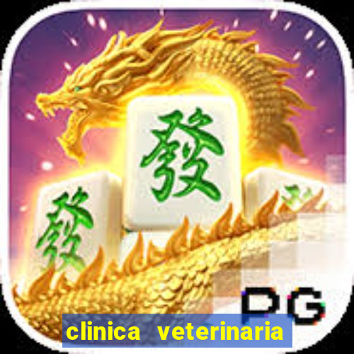 clinica veterinaria cuidar betim