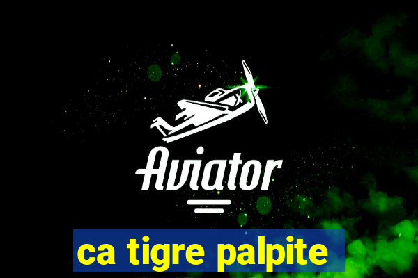 ca tigre palpite