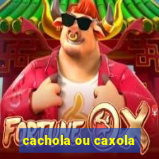 cachola ou caxola