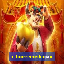 a biorremediação é uma tecnologia sustentável?