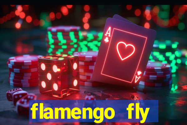 flamengo fly emirates ultimas noticias